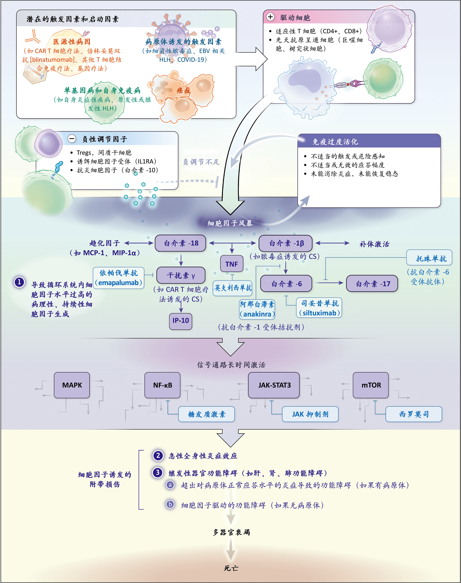 细胞因子风暴 Nejm医学前沿