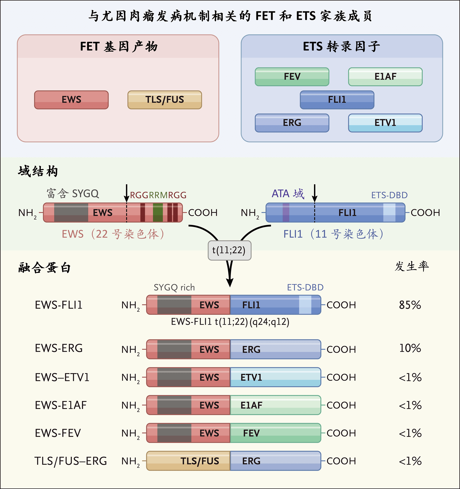 尤因肉瘤 Nejm医学前沿