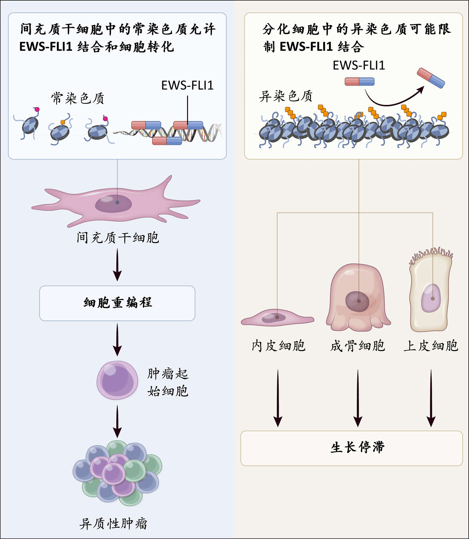 尤因肉瘤 Nejm医学前沿