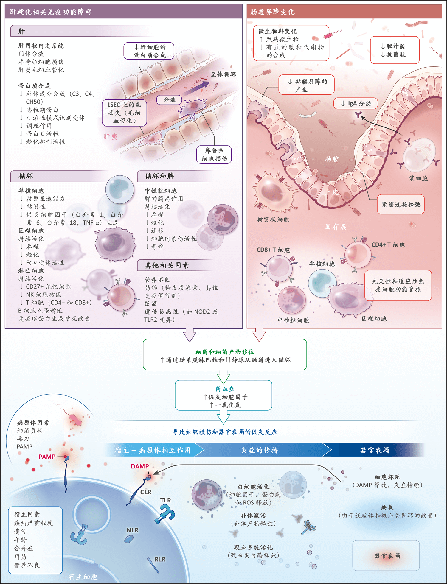 NEJM医学前沿